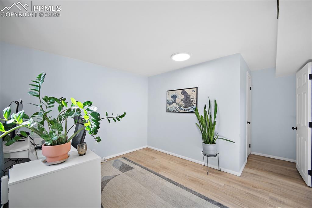 1st lower level bedroom.