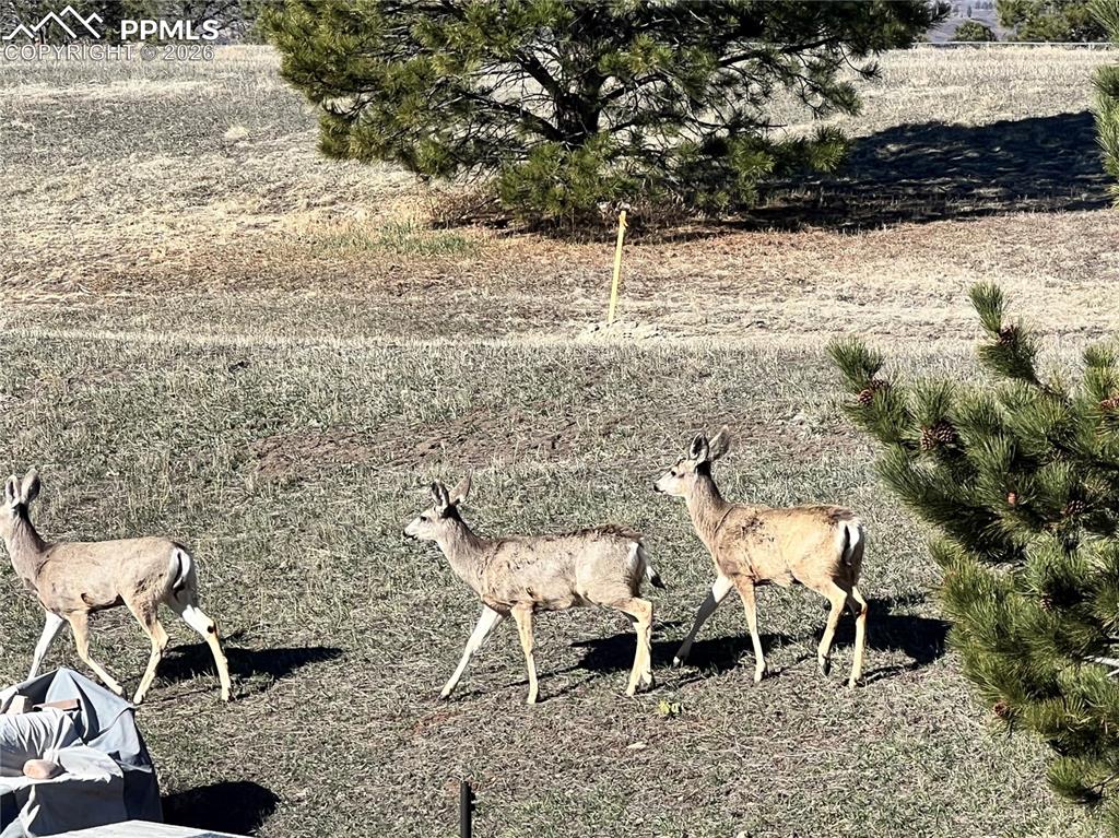 Low-maintenance living. Elevated surroundings. A setting designed to slow life down—just enough.