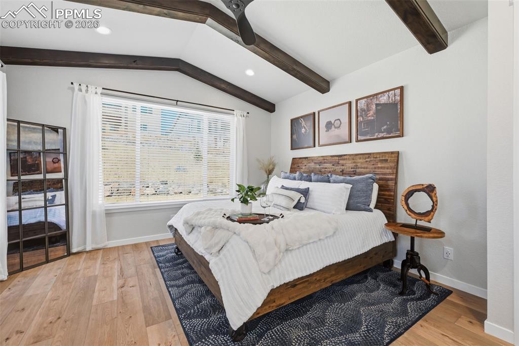 Large windows with tons of natural light