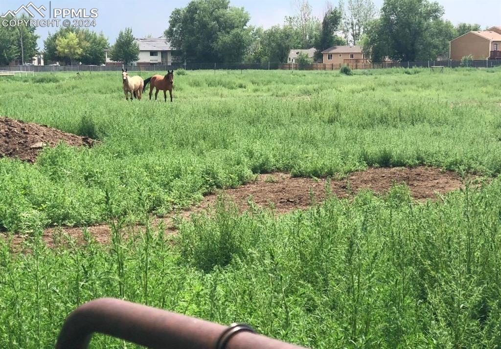 View of yard featuring a rural view