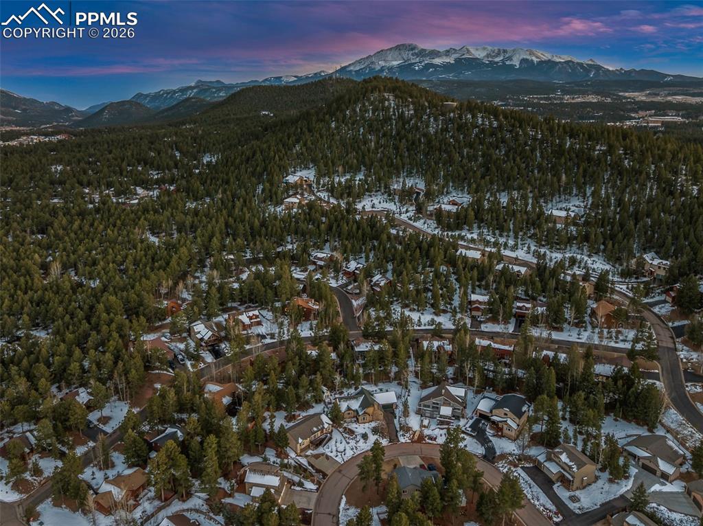 681 Misty Pines Circle