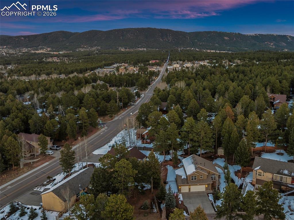 681 Misty Pines Circle