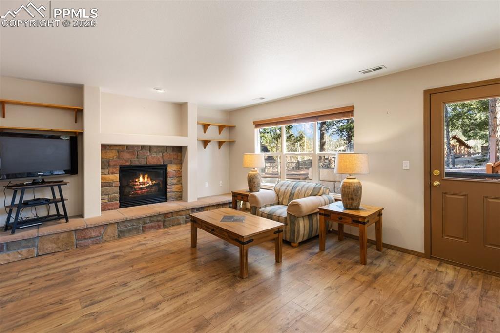 Living Room-Lower Level