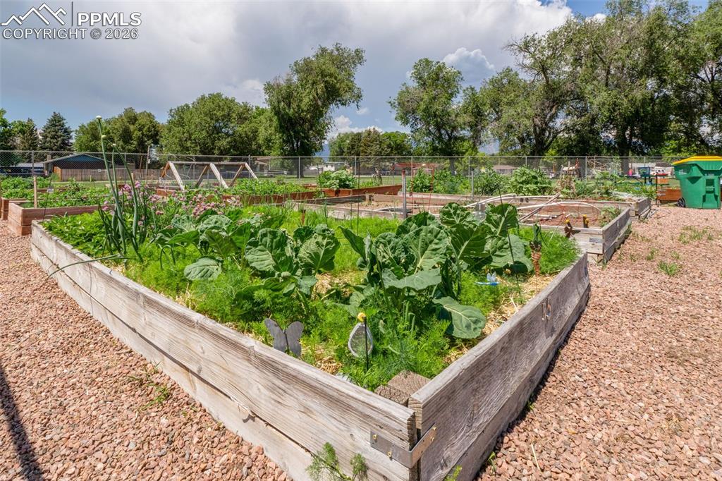 Community Garden