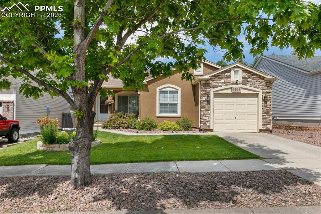 6793 Summer Grace Street photo 3