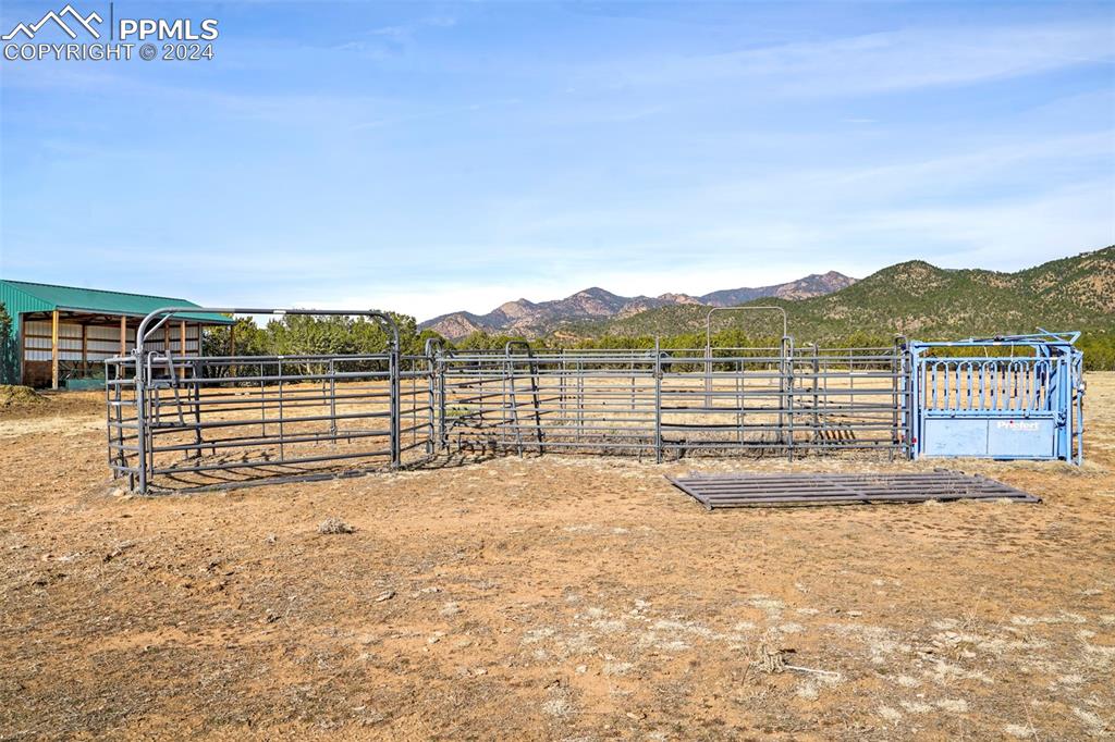 Livestock Corral