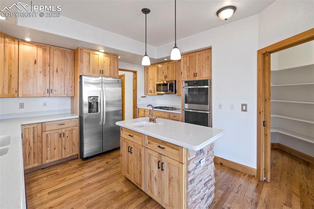 733 Orion Drive photo 2