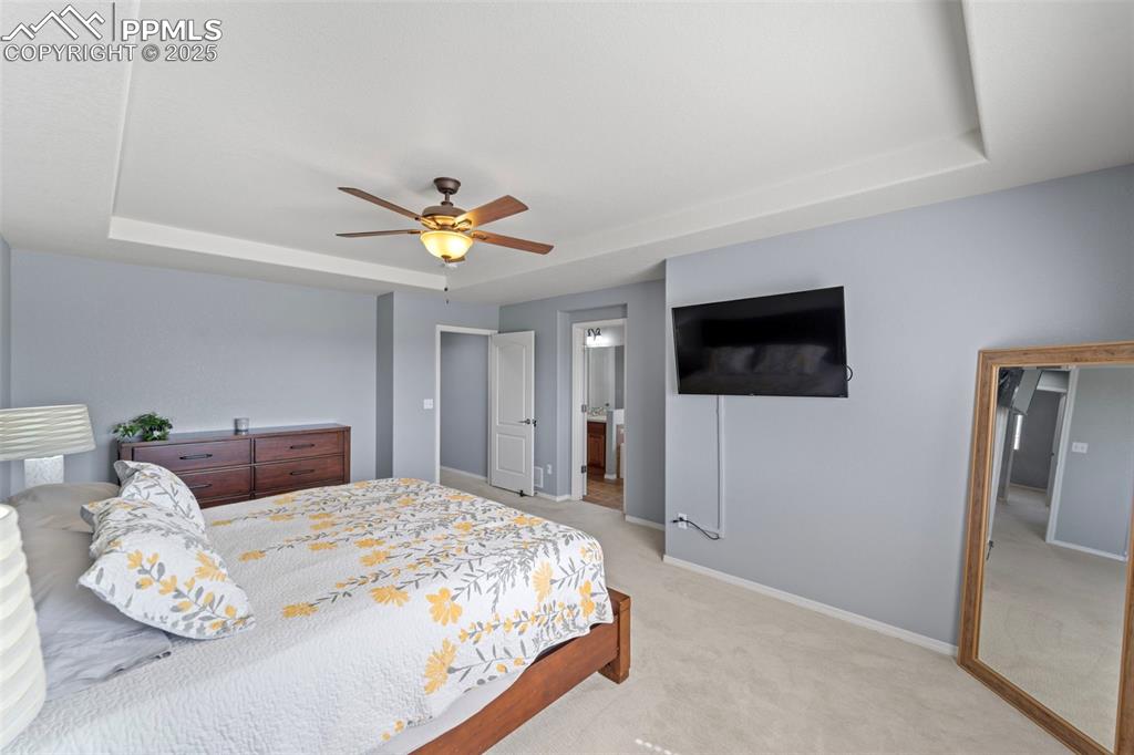 Guest bedroom with ceiling fan


