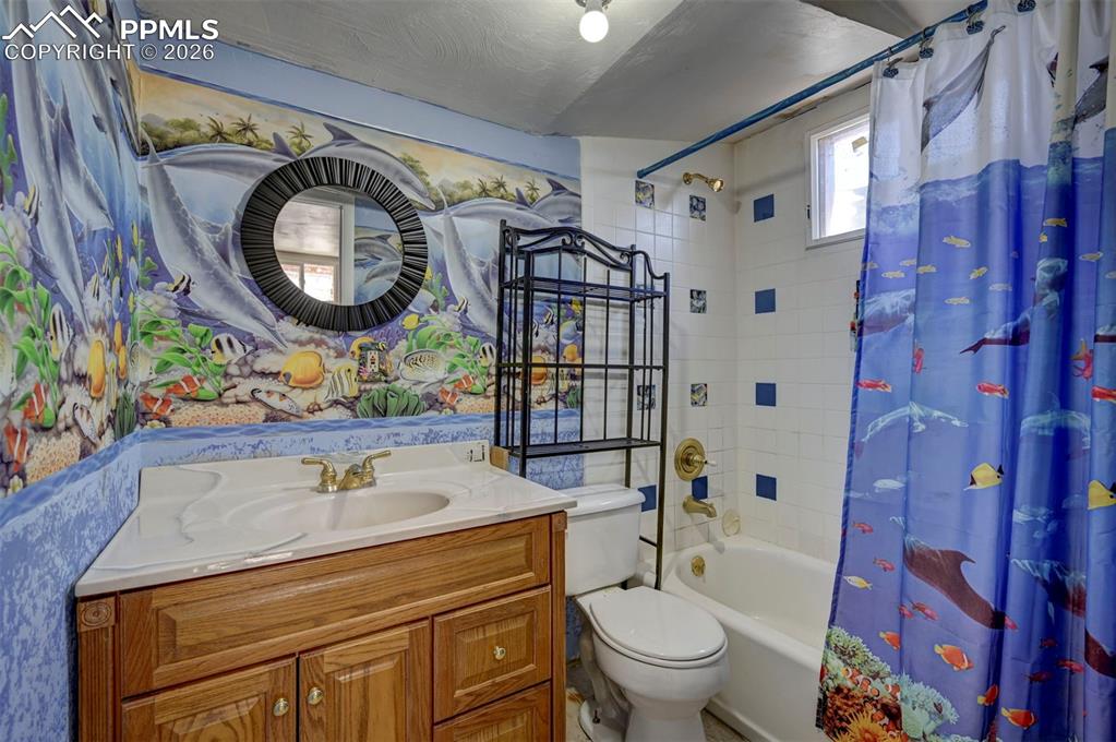 Full Basement Bathroom