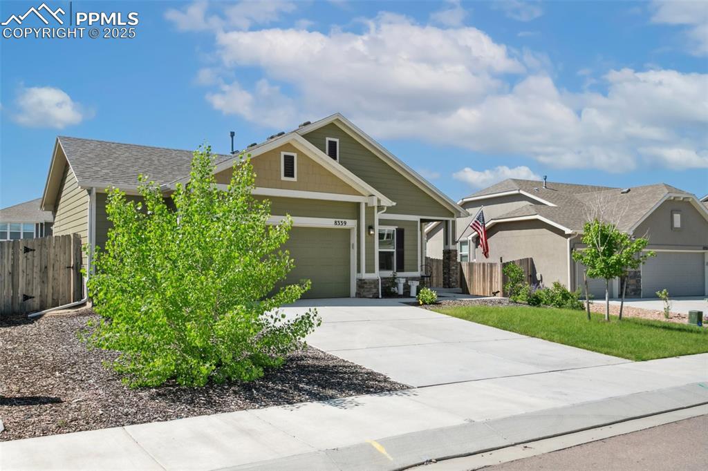 8339 Mosby Way photo 2