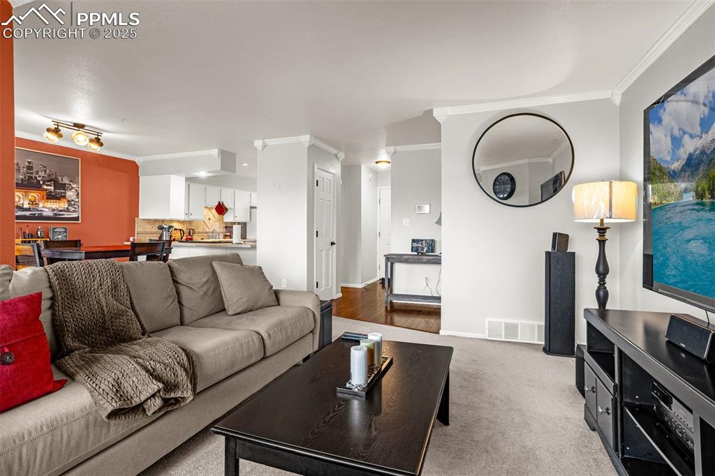 Living room, mountain views, gas fireplace