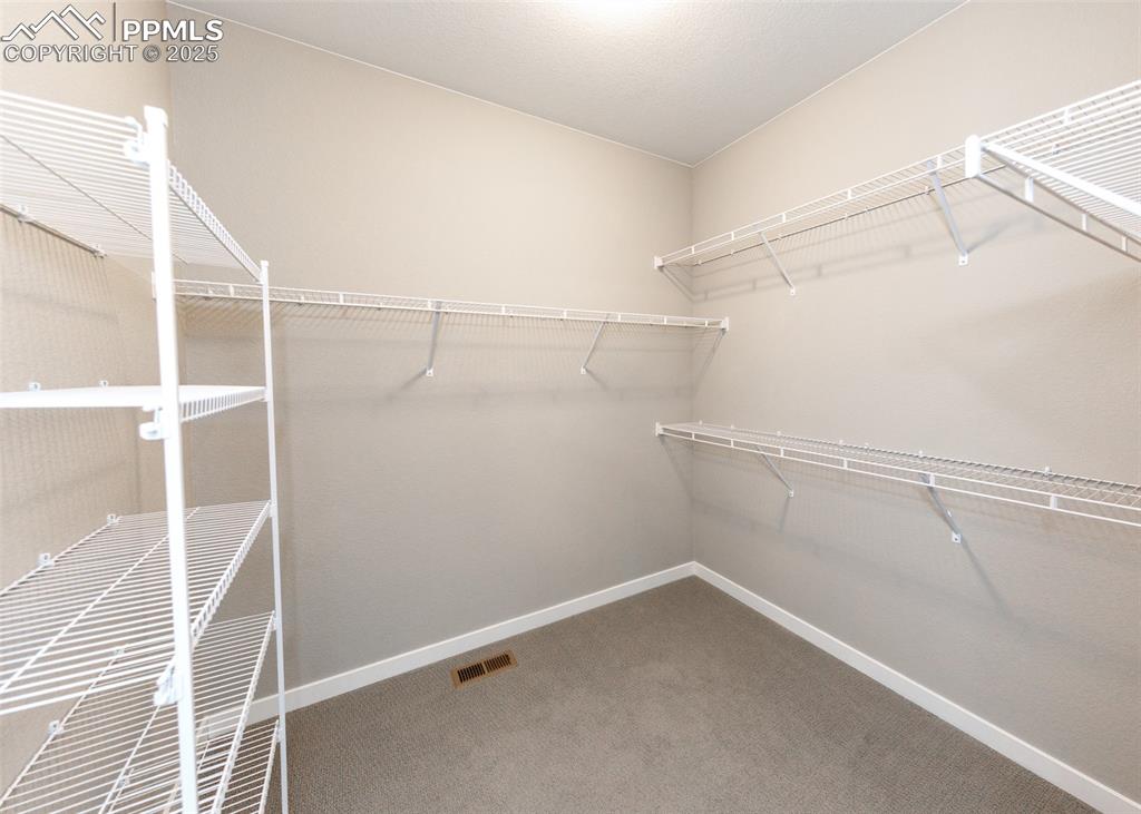 Generous walk-in closet offers plenty of room for organization and wardrobe storage.