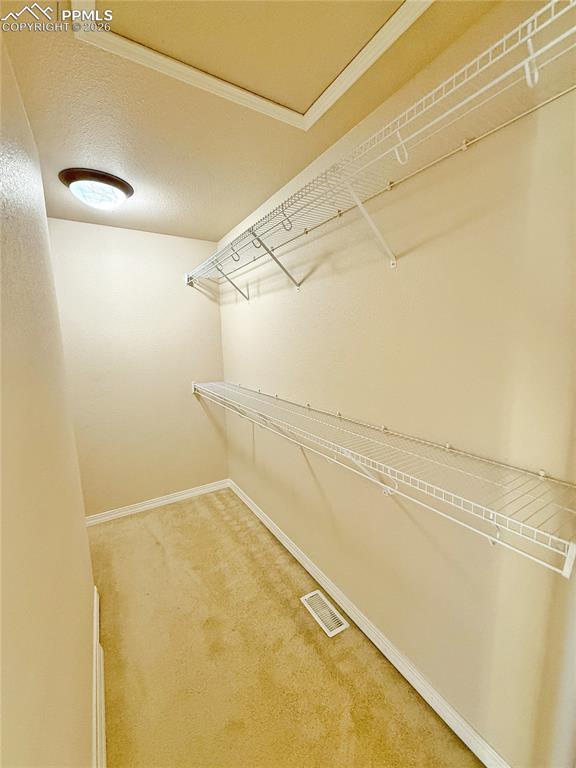 1 of 2 master bedroom closets