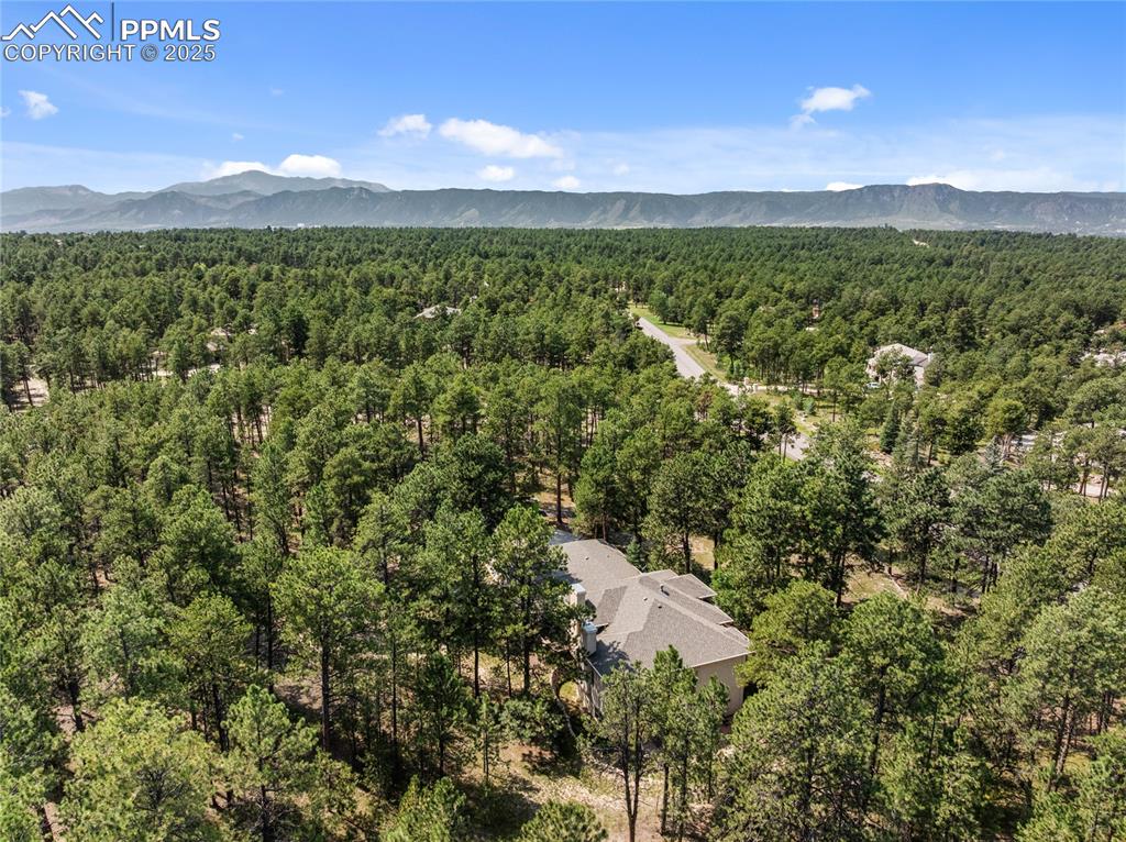 The pines are plentiful and relaxing!