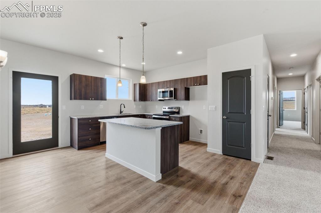 Kitchen featuring dark brown cabinets, modern cabinets, stainless steel appliances, healthy amount of natural light, and recessed lighting