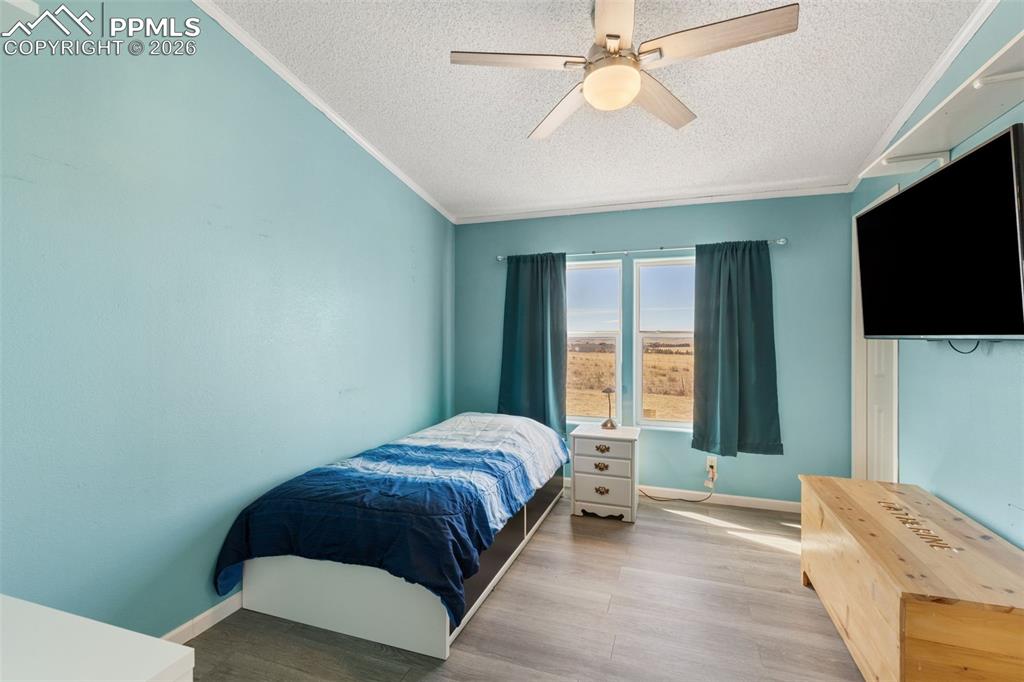 1st Bedroom with Walk-In Closet