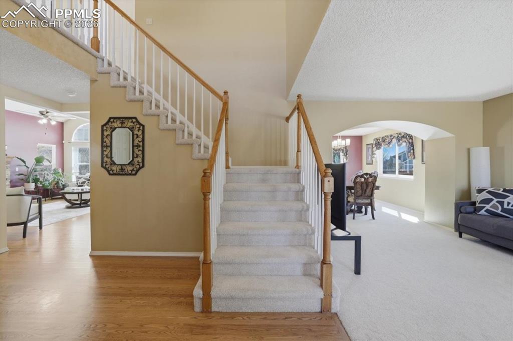 Entry way leads to the formal living room and family room.