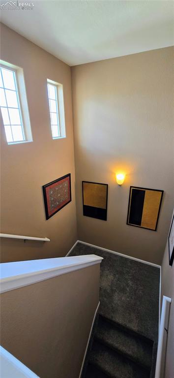 Stairs featuring carpet flooring