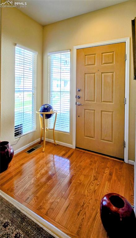 7094 Red Sand Grove photo 3