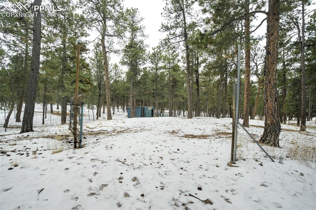 12375 Mt Shasta Drive