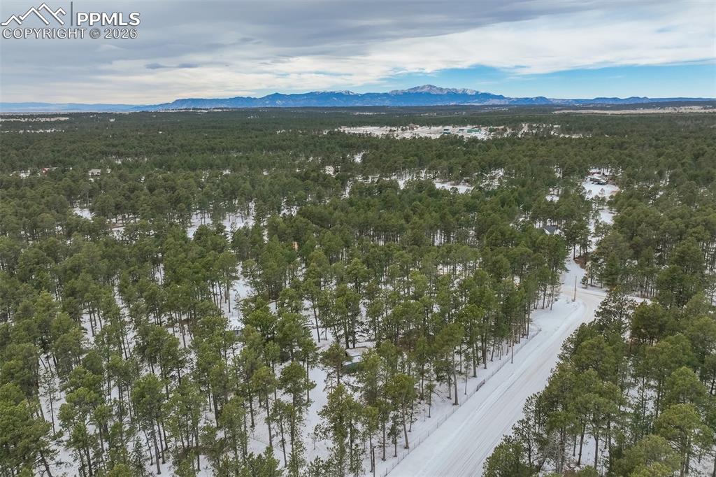 12375 Mt Shasta Drive