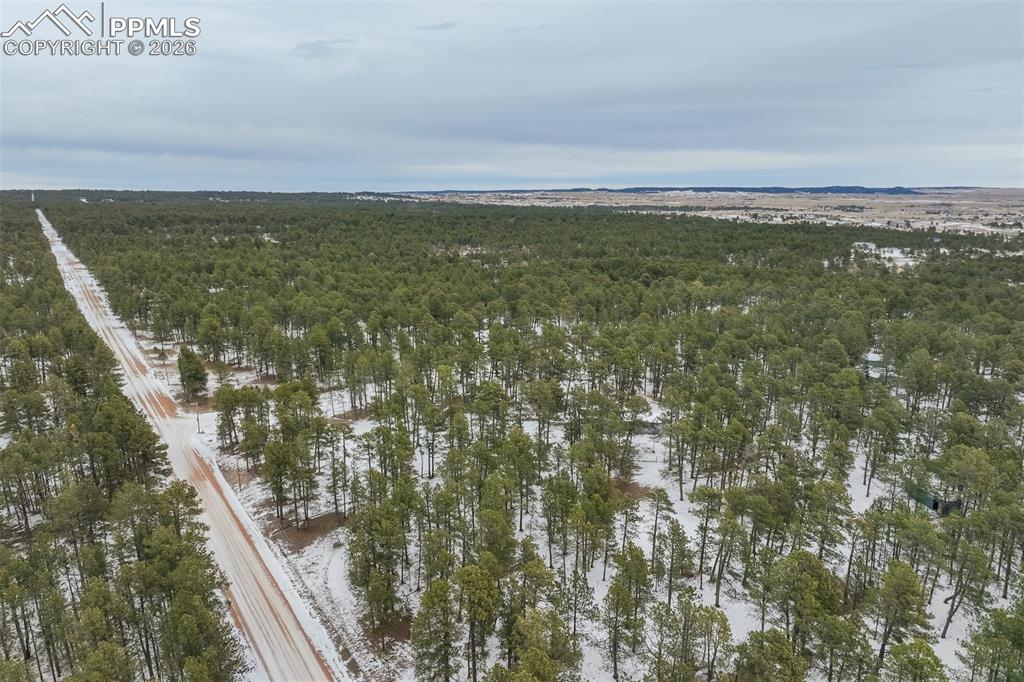 12375 Mt Shasta Drive