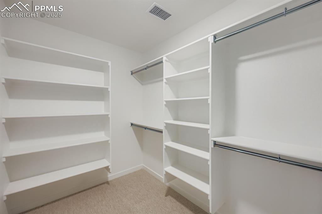 Walk in closet with light colored carpet