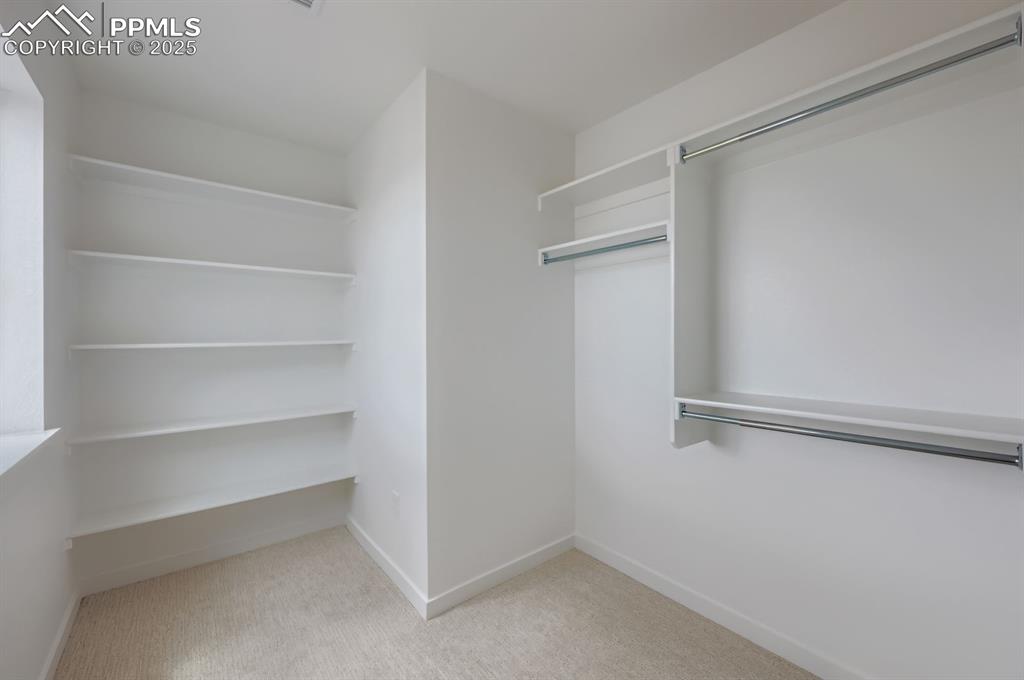 Walk in closet with carpet floors