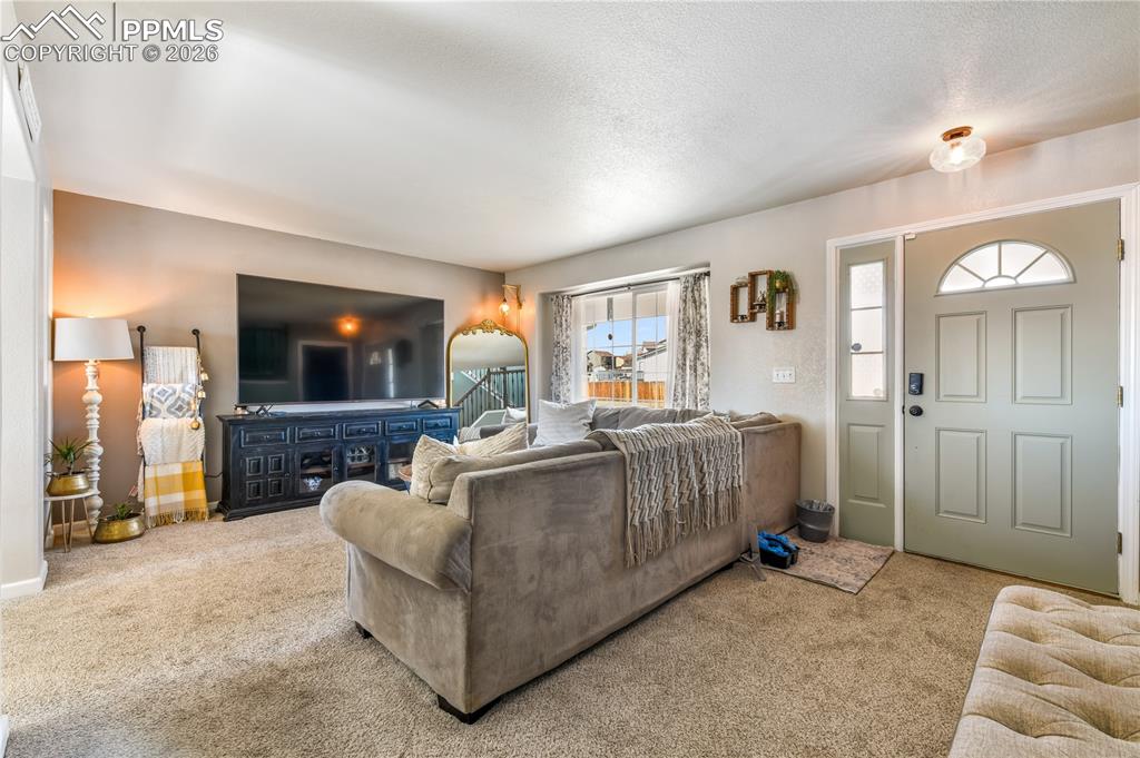 8141 Sedgewick Drive photo 2