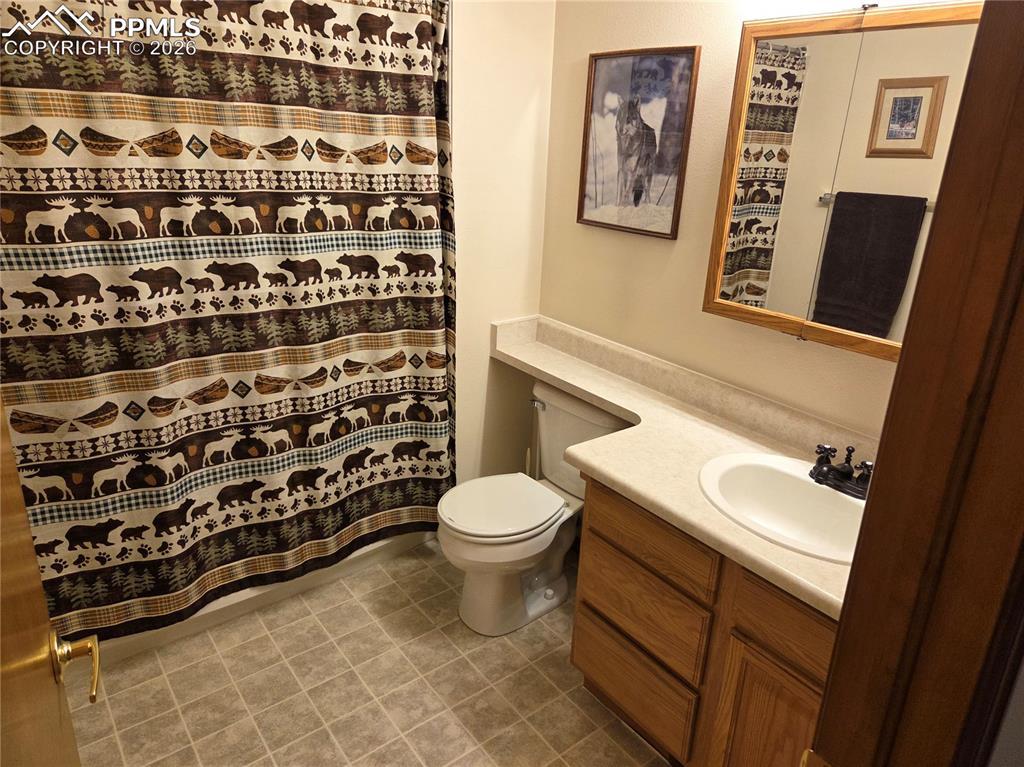 Bathroom with vanity and a shower with shower curtain