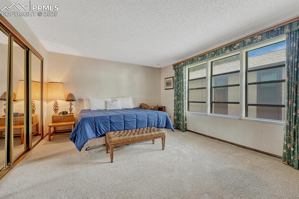 Spacious Primary Bedroom with closet, carpet, and plenty of natural light