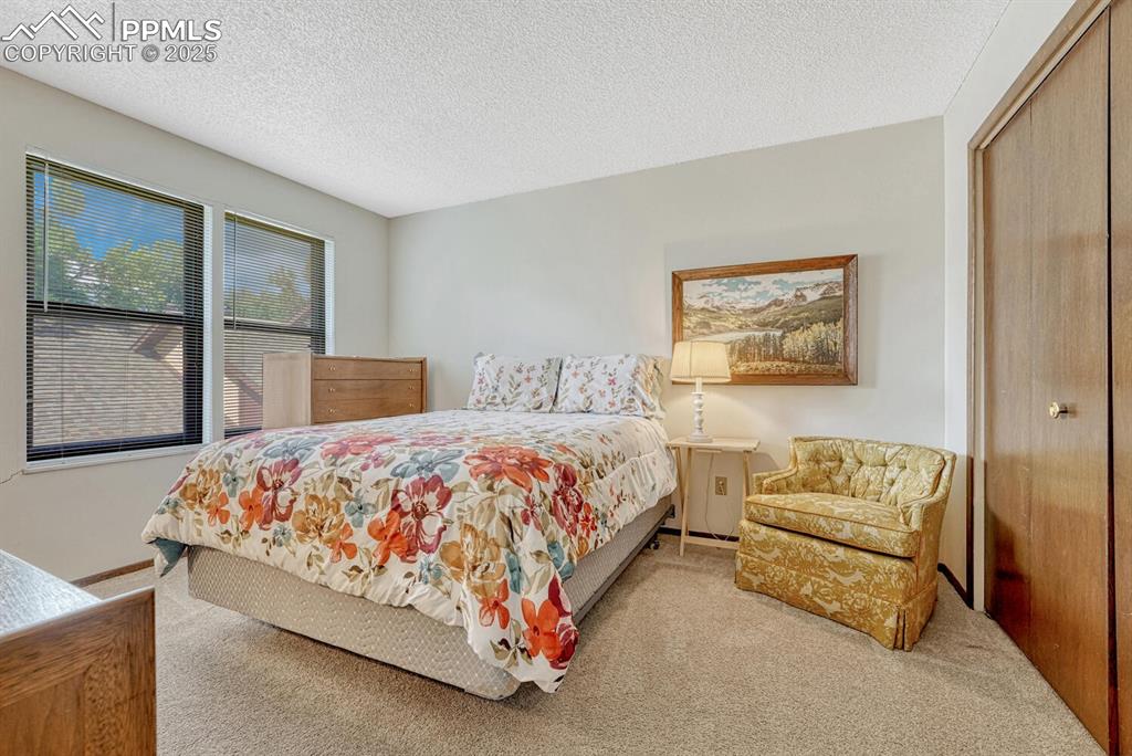 Bedroom featuring carpet flooring, and a closet bathed in natural light