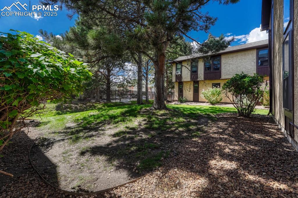 Yard view showcasing extensive space for dog walking and plenty of shaded spaces
