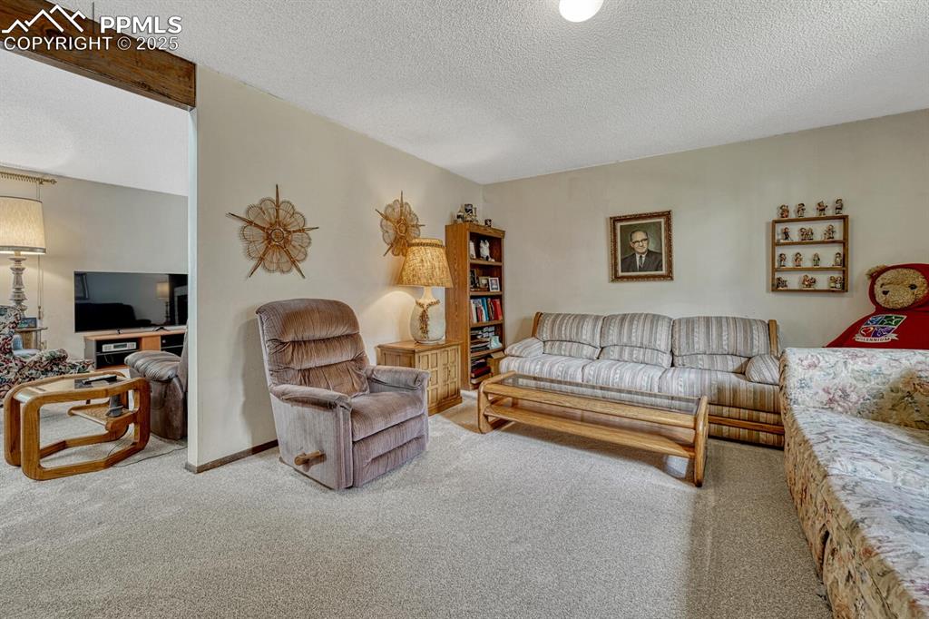 Carpeted living room with a textured ceiling