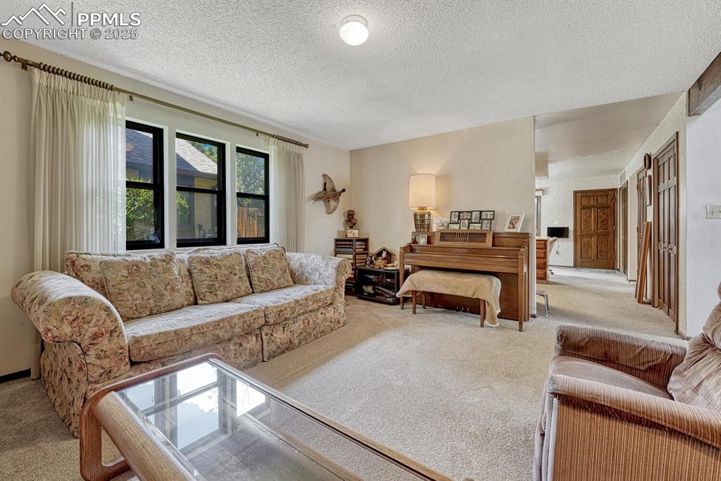 Carpeted living room featuring a textured ceiling