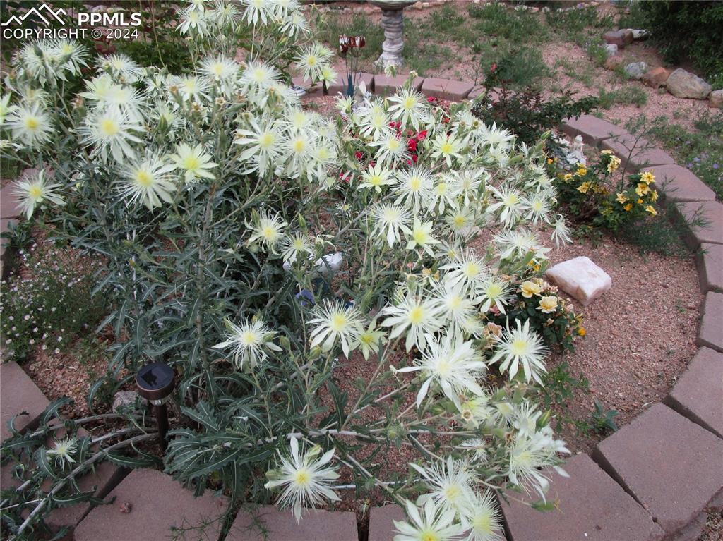 View of exterior details