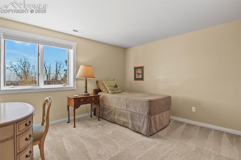 3rd Bedroom in the lower level, beautiful windows and light carpet.