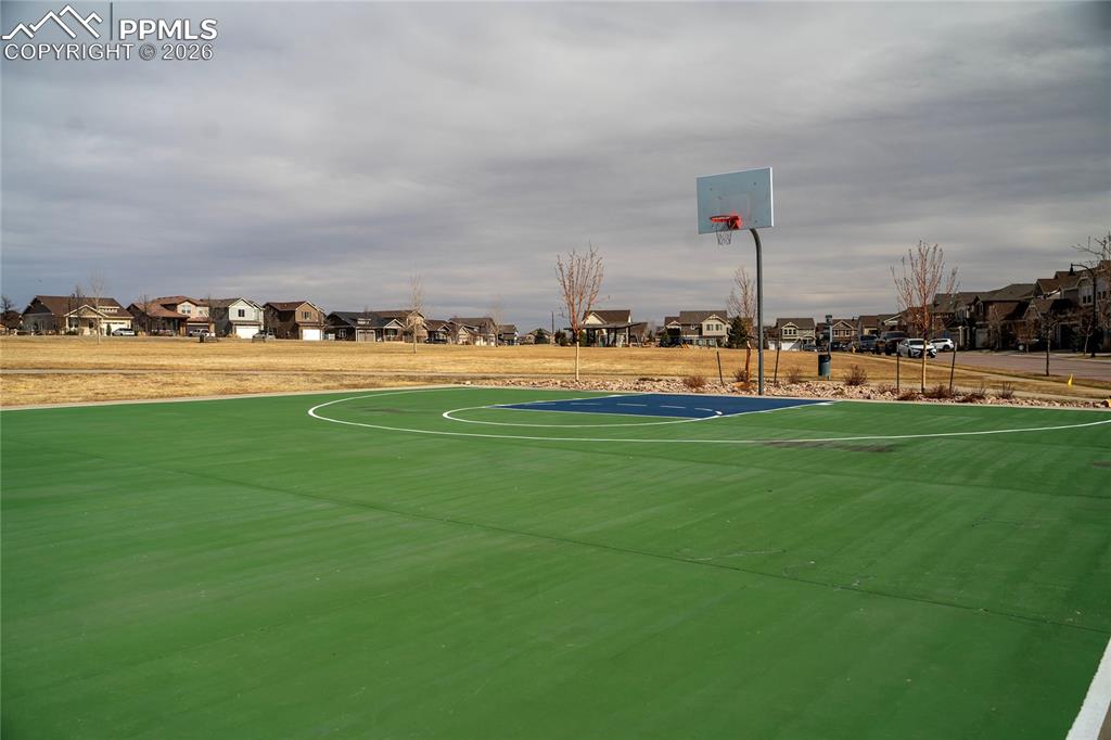 Basketball court