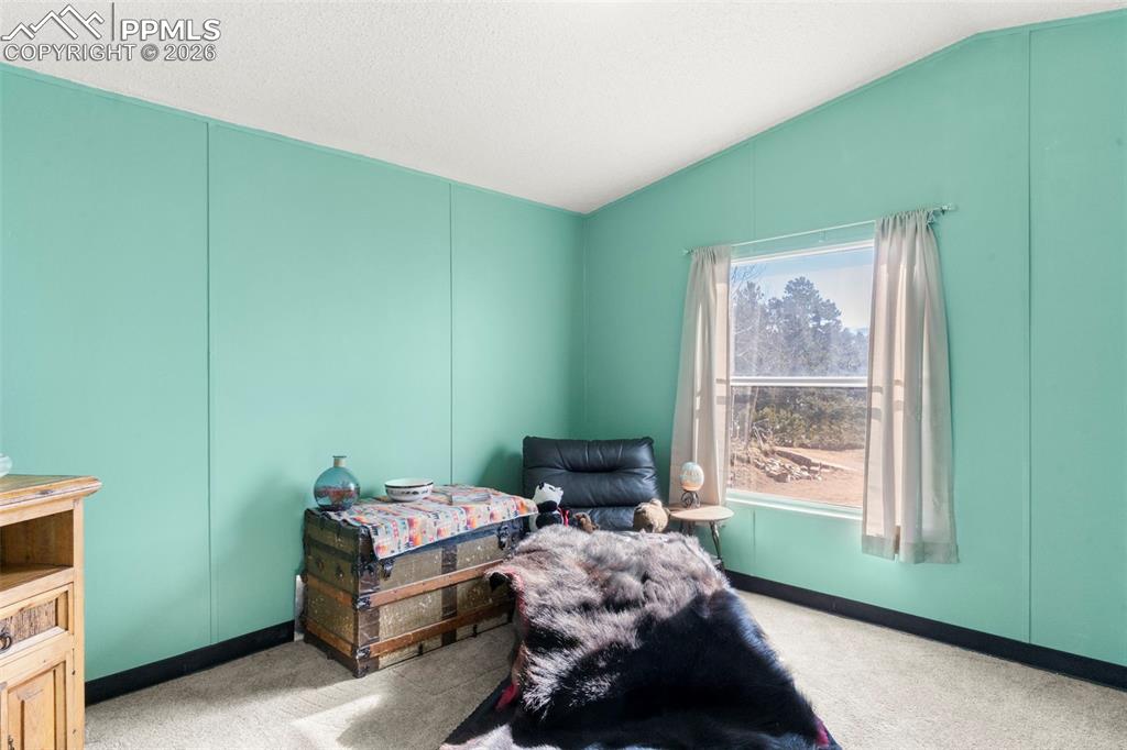 secondary bedroom w/ new carpet