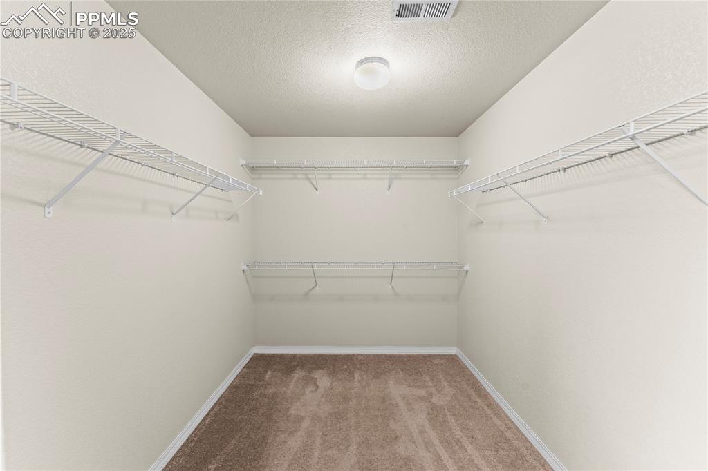 Walk in closet featuring light carpet