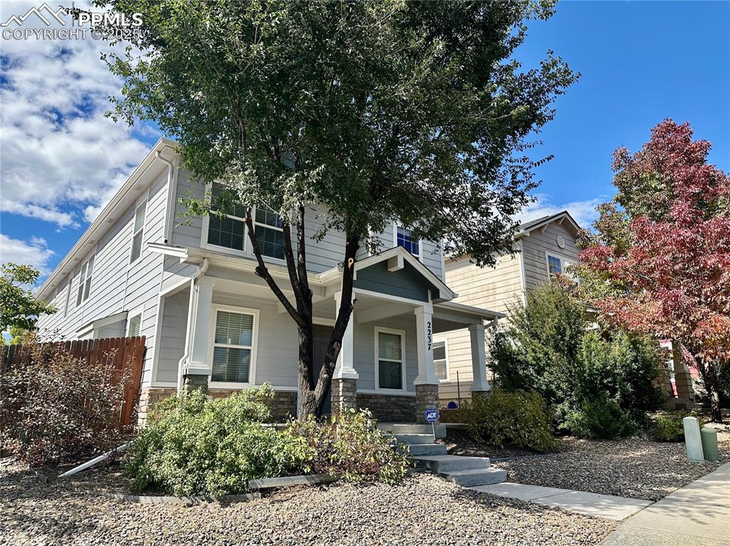 2237 Winter Blossom Point photo 3