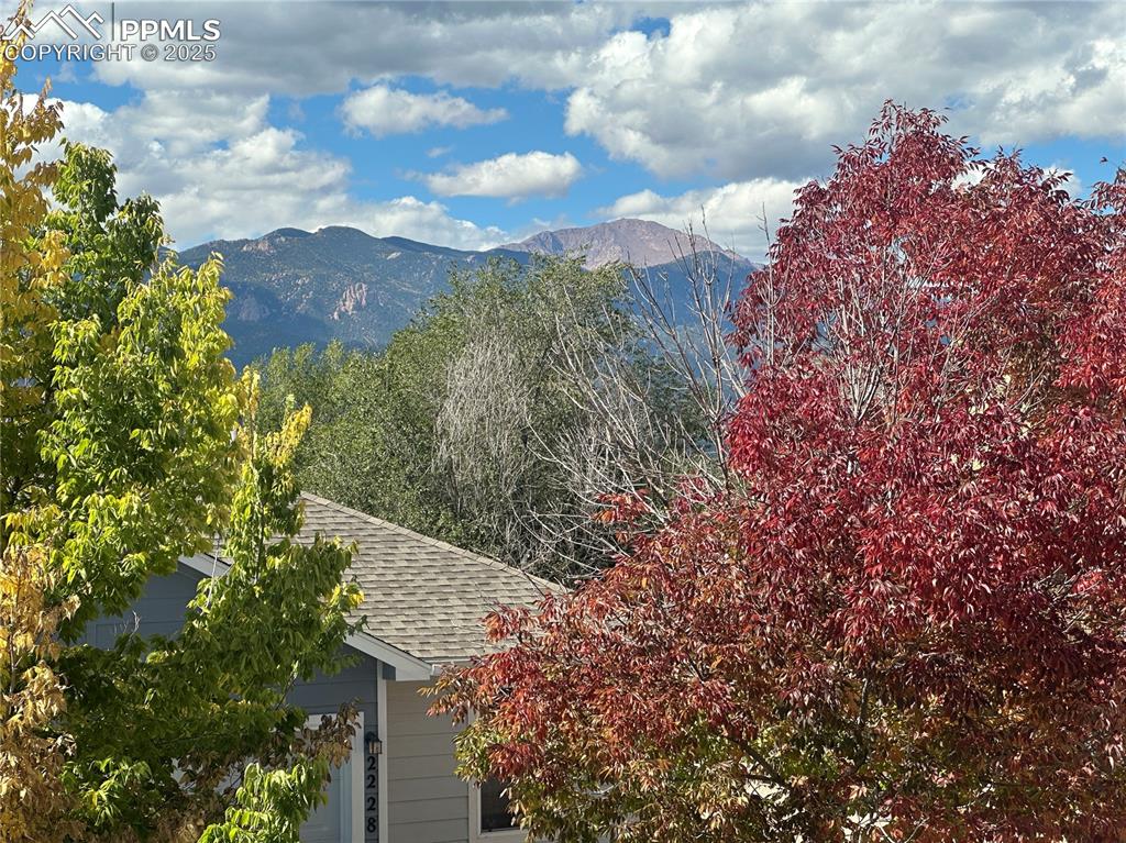 View of mountain background featuring a forest