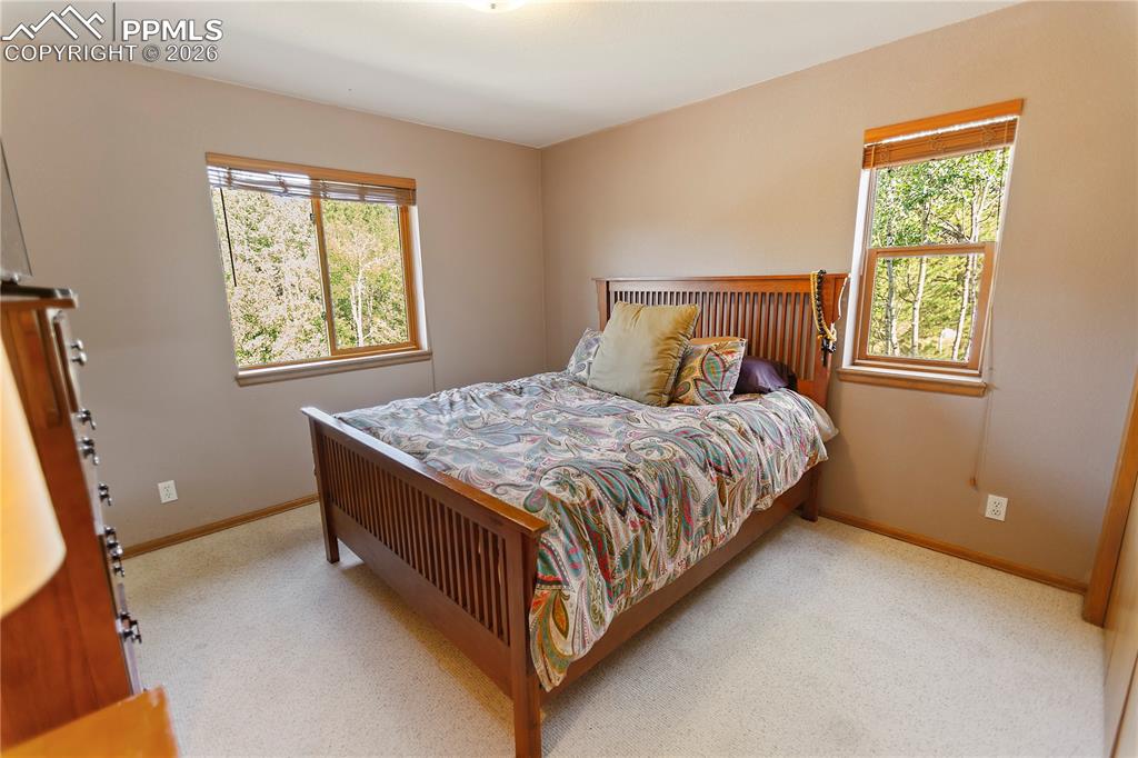 Main level bedroom 2