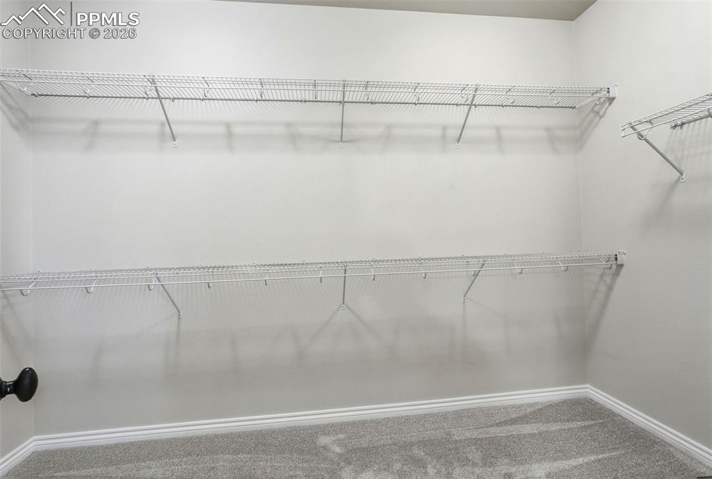 Walk in closet with carpet flooring