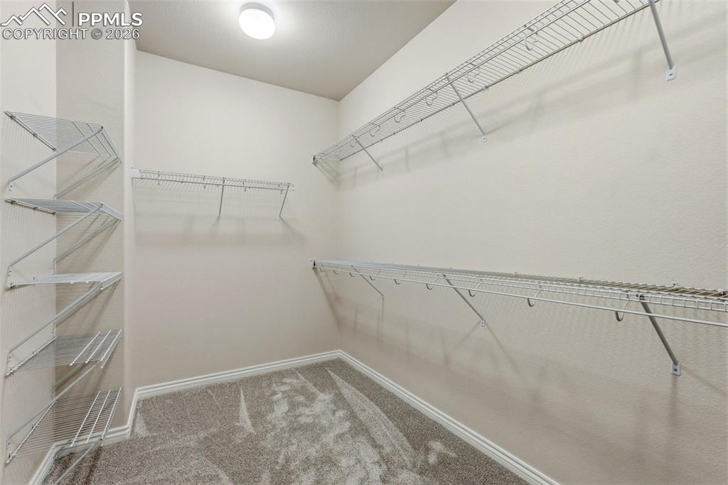Walk in closet with light colored carpet