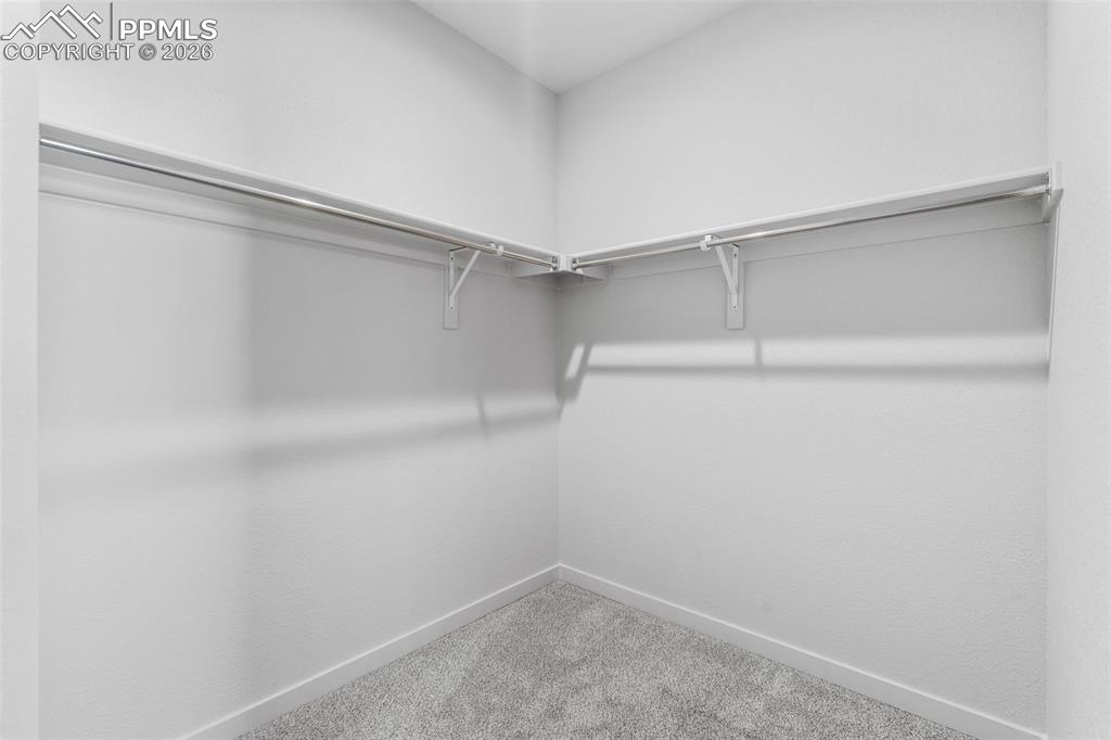 Spacious closet featuring light colored carpet