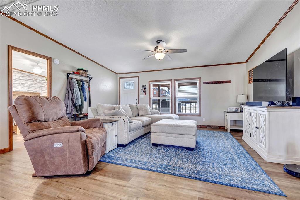 Living room featuring light wood-type flooring, ceiling fan, a textured ceiling, and ornamental molding