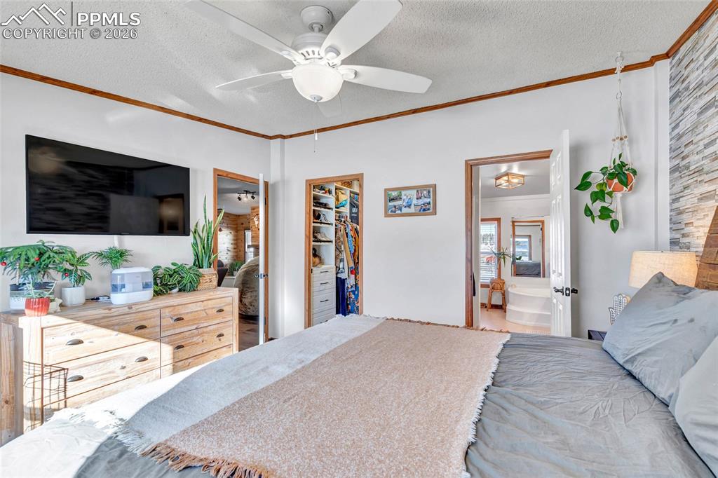 Bedroom featuring crown molding, a textured ceiling, a walk in closet, and a ceiling fan