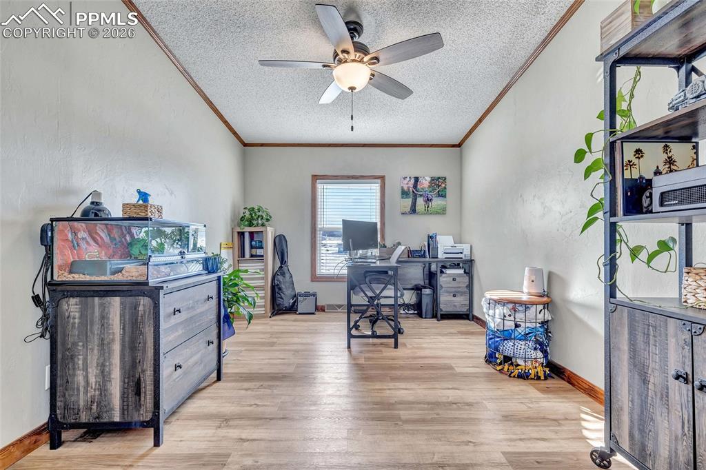 Home office with light wood finished floors, ceiling fan, crown molding, and a textured ceiling