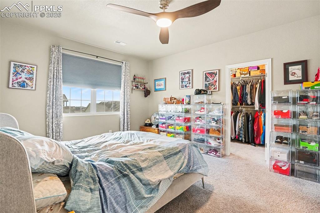 Bedroom featuring a spacious closet, carpet flooring, and ceiling fan